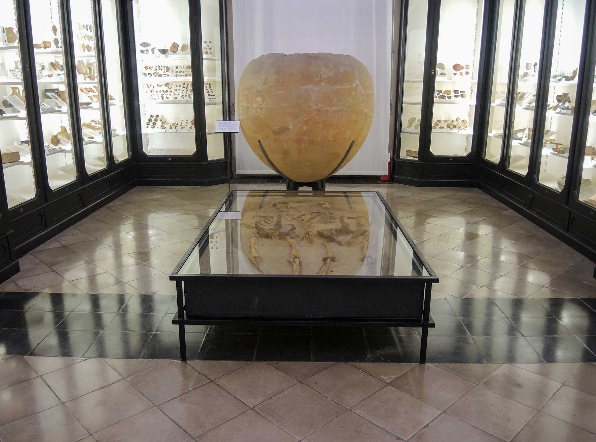 Museo Civico di Modena