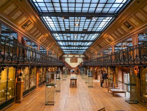 Múzeum dejín medicíny