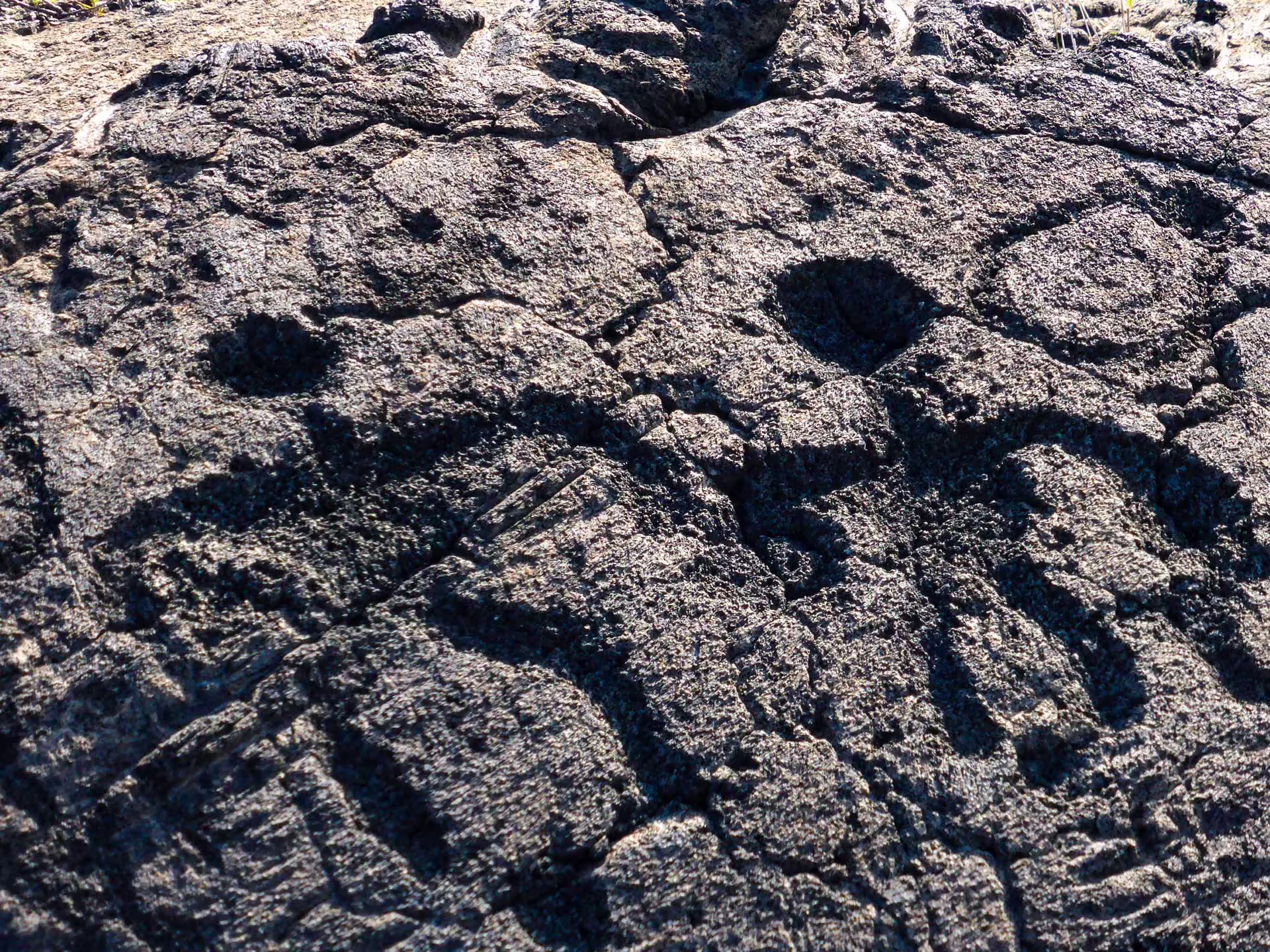 Petroglyfy Puʻuloa
