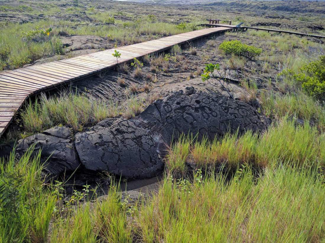Pu‘uloa Petroglyphs