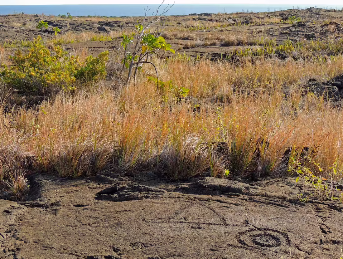 Pu‘uloa Petroglyphs