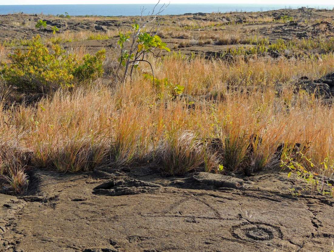 Pu‘uloa Petroglyphs