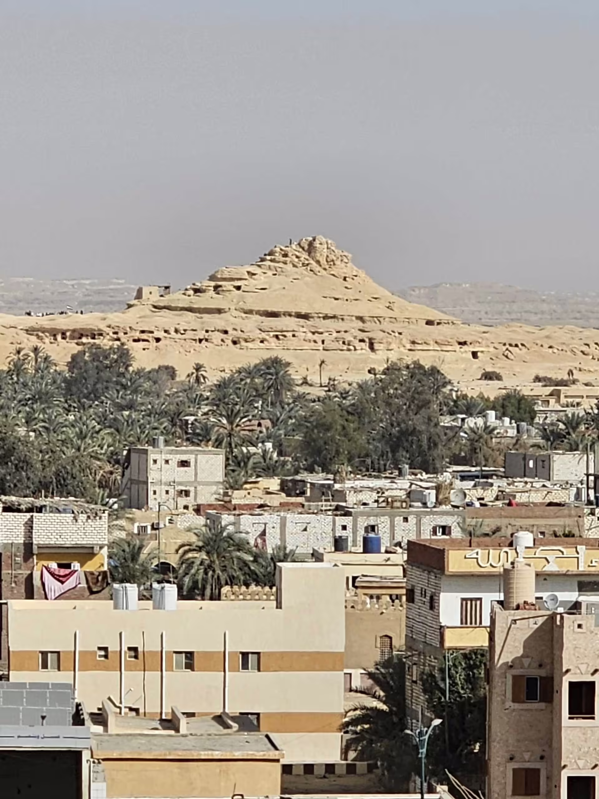 Qara Oasis