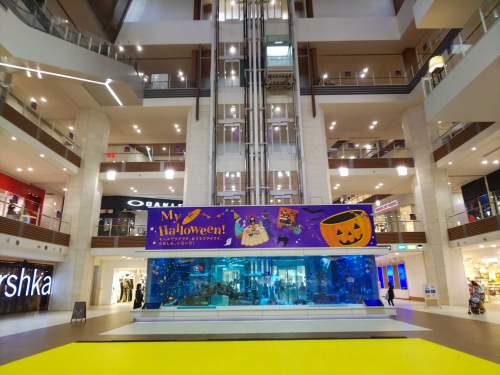 Aeon Mall Okinawa Rycom Aquarium