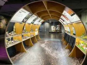 Múzeum húb