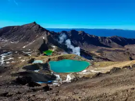 Ngarotopounamu