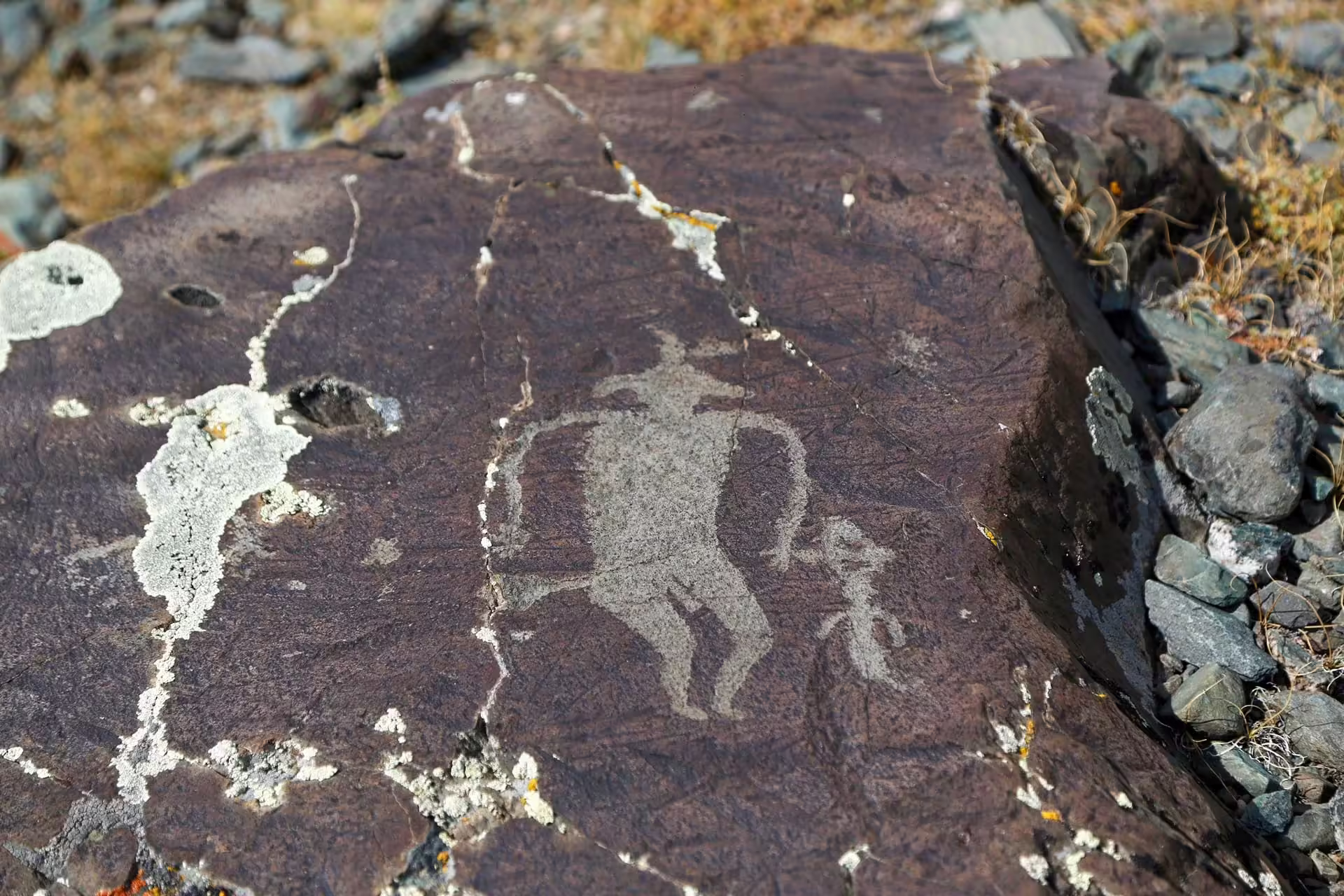 Petroglyfy, Mongolsko