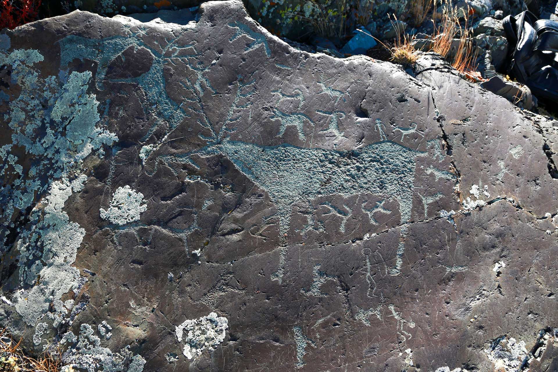 Petroglyfy, Mongolsko
