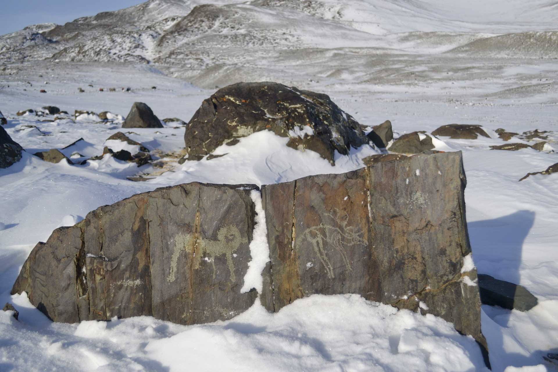 Petroglyfy, Mongolsko