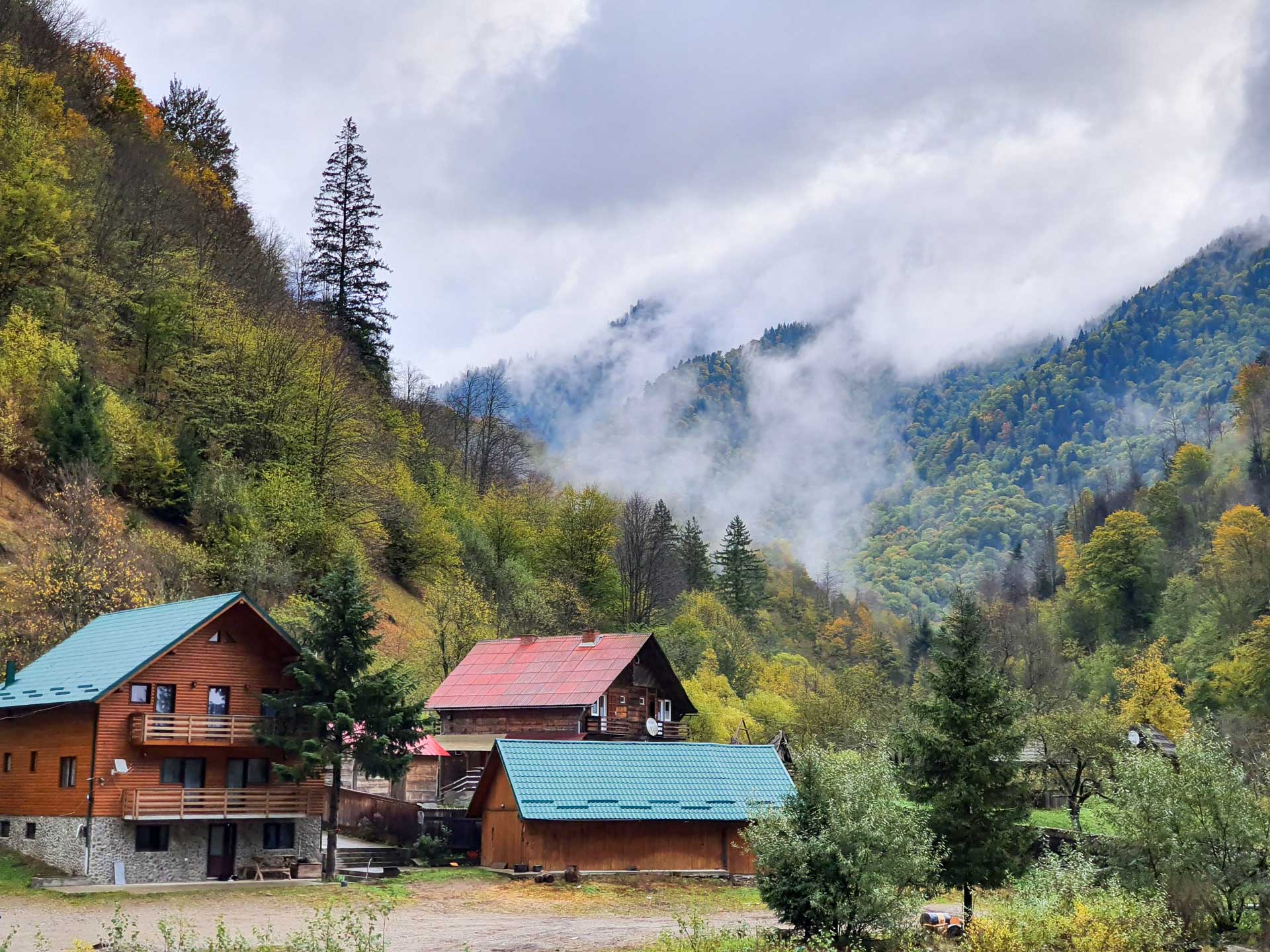 Lesná železnica
