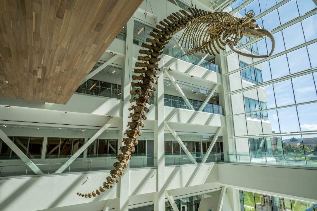 Core Sciences Facility