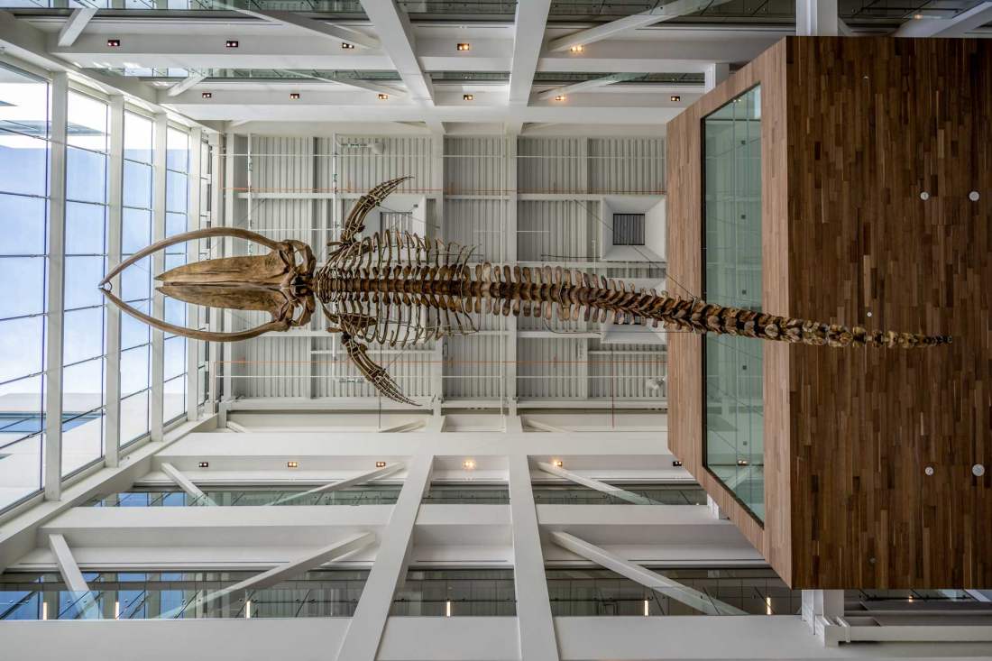Core Sciences Facility