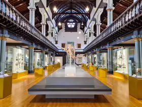 Interiér Hunterian Zoology Museum v Glasgowe so zoologickými zbierkami a historickými exponátmi