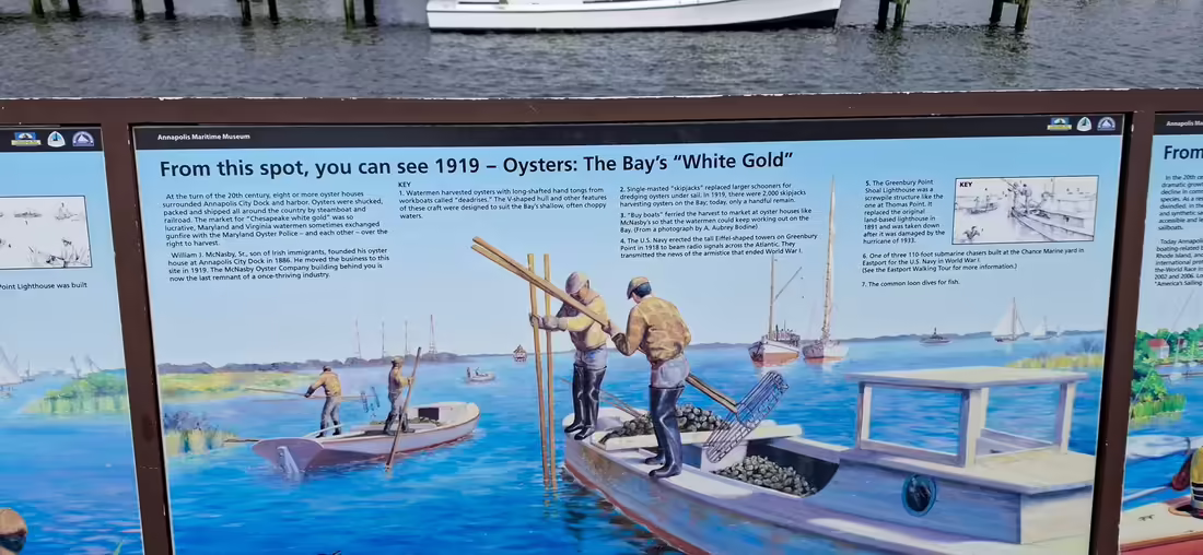 Annapolis Maritime Museum & Park
