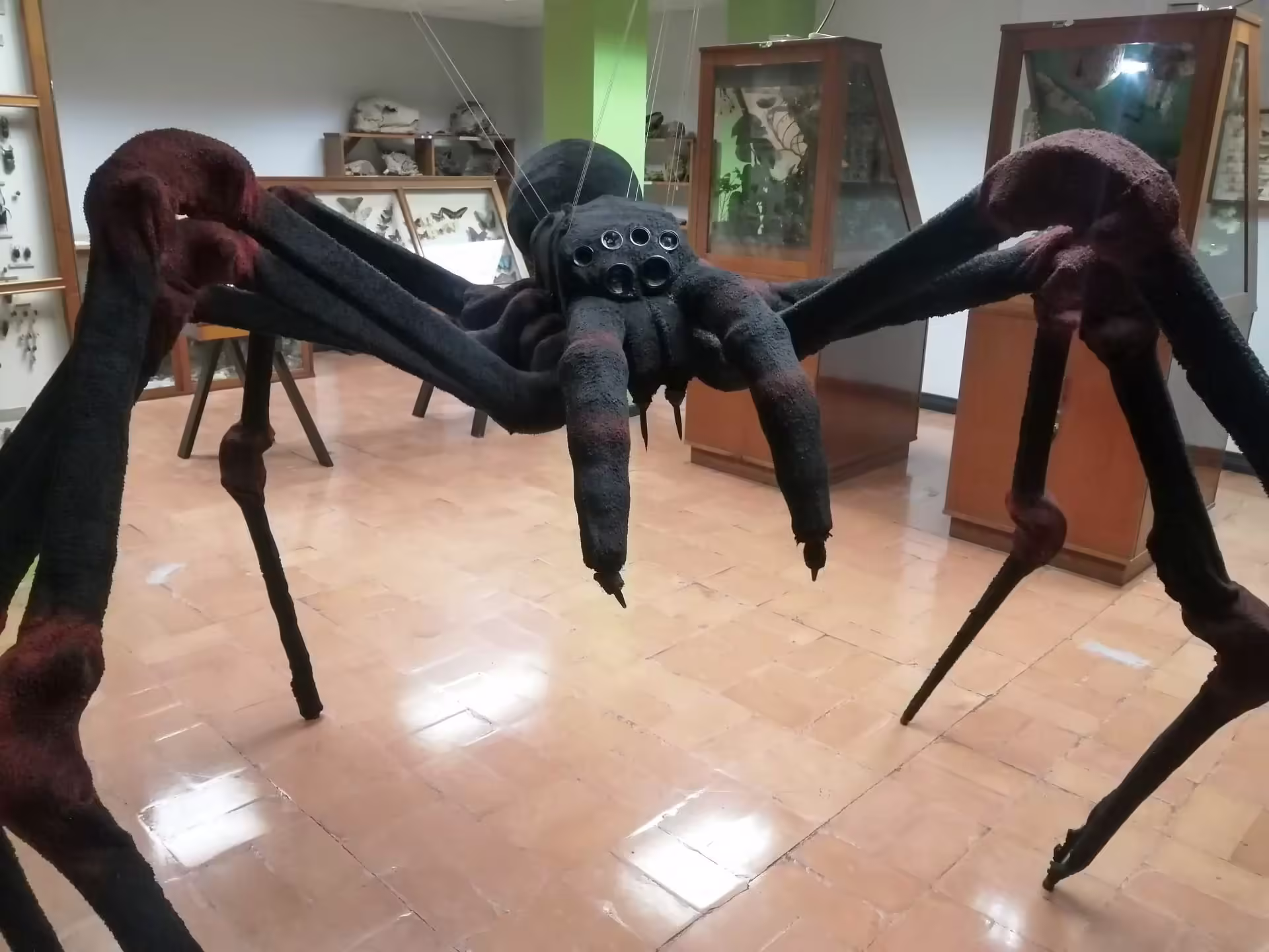 Múzeum hmyzu