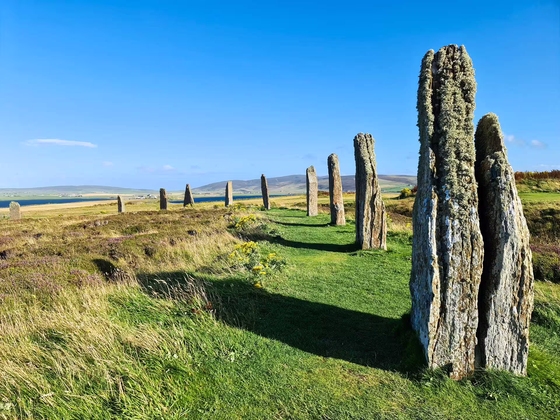 Stojace kamene Ring of Brodgar pokryté lišajníkmi v krajine Orknejí