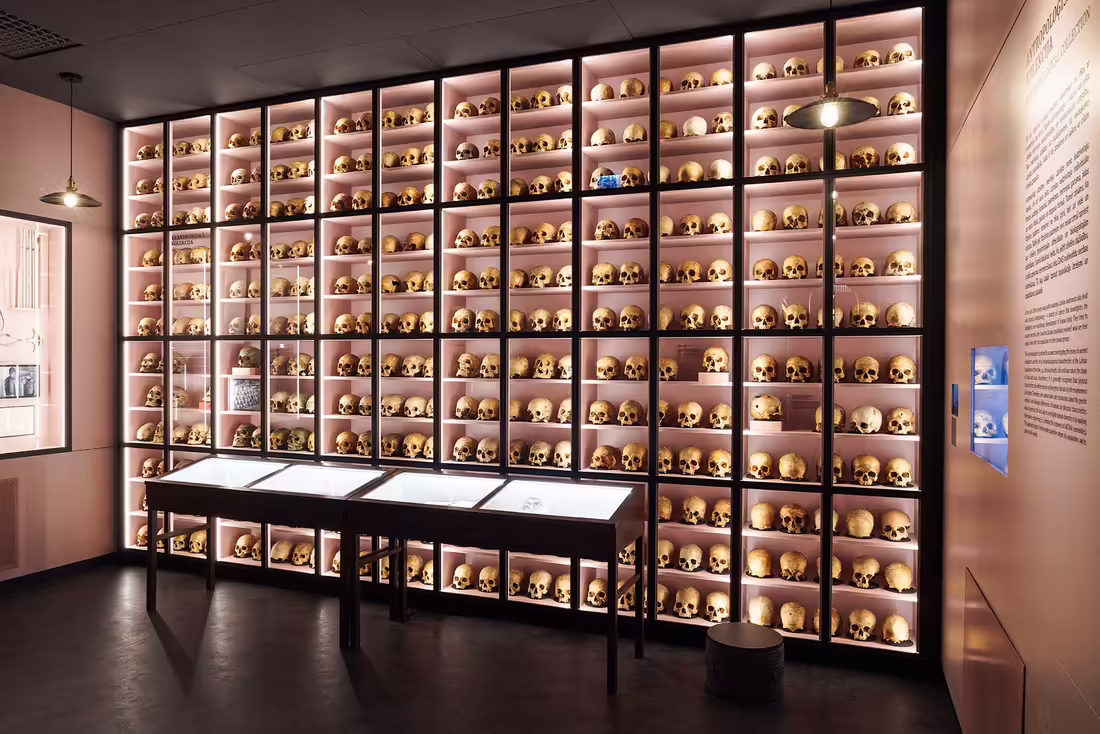 RSU Anatomy Museum