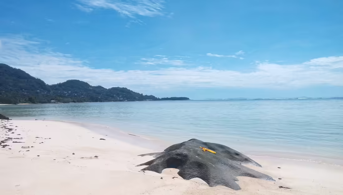 Piesková pláž Turtle Bay na Mahé pri odlive s tmavým žulovým balvanom a plytkou lagúnou