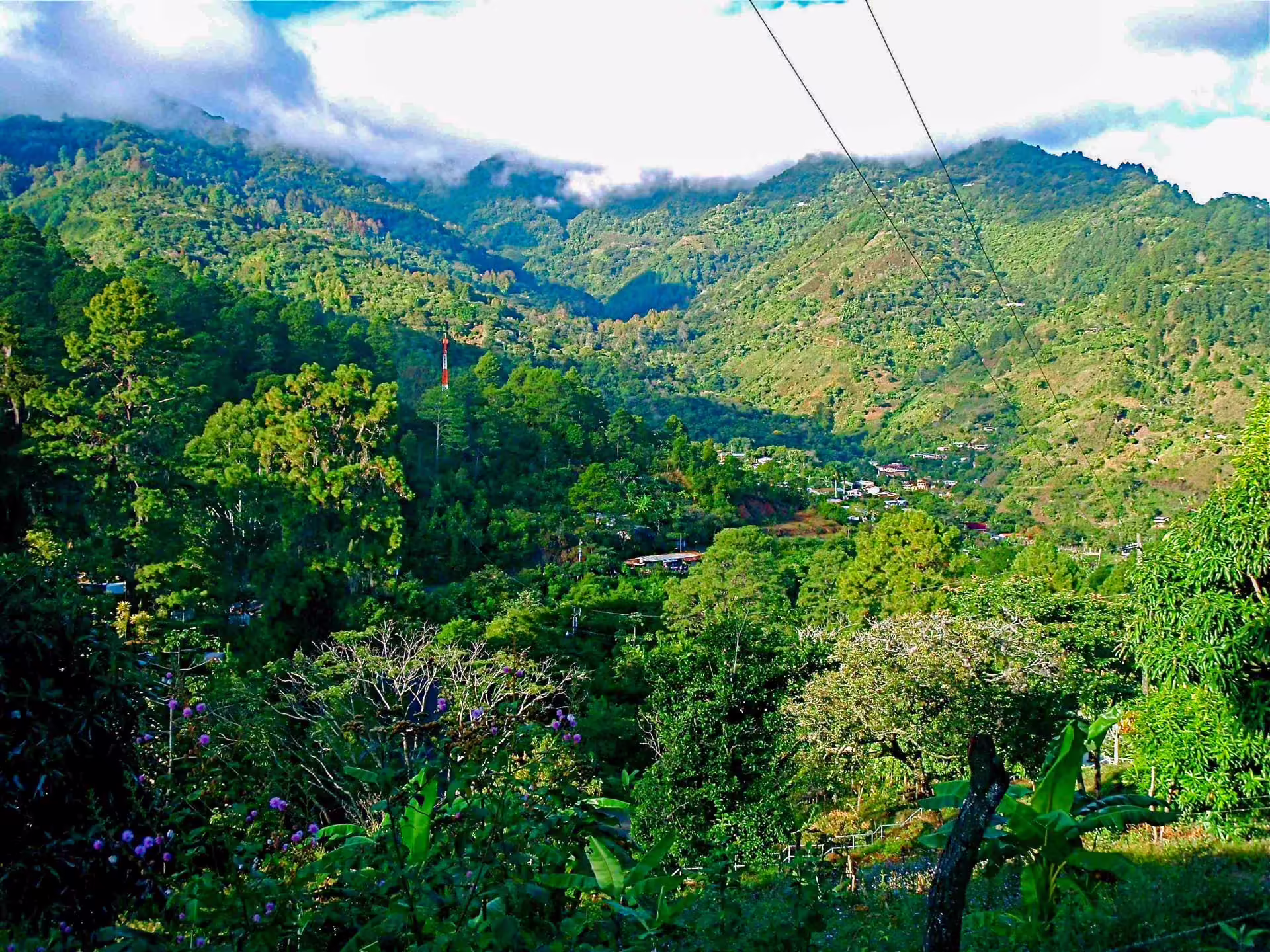 El rosario
