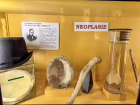 Múzeum patologickej anatómie