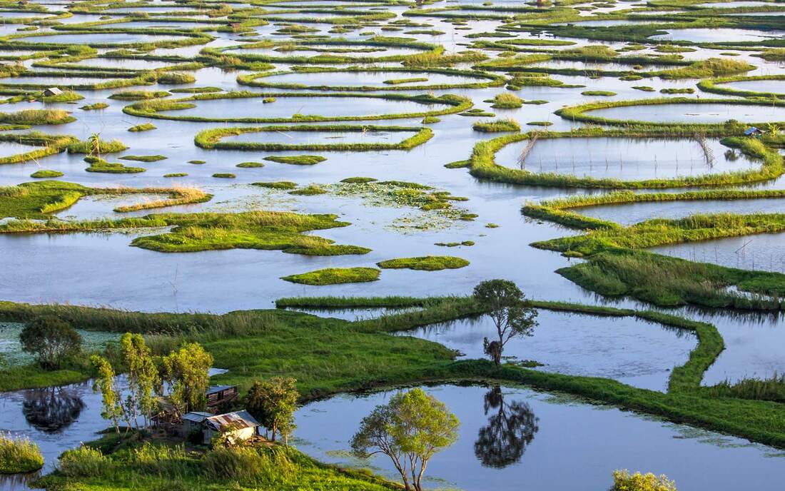 Národný park, India