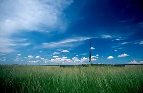 Puszta