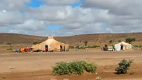 Tifariti