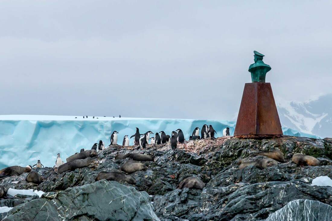 Shackleton expedícia