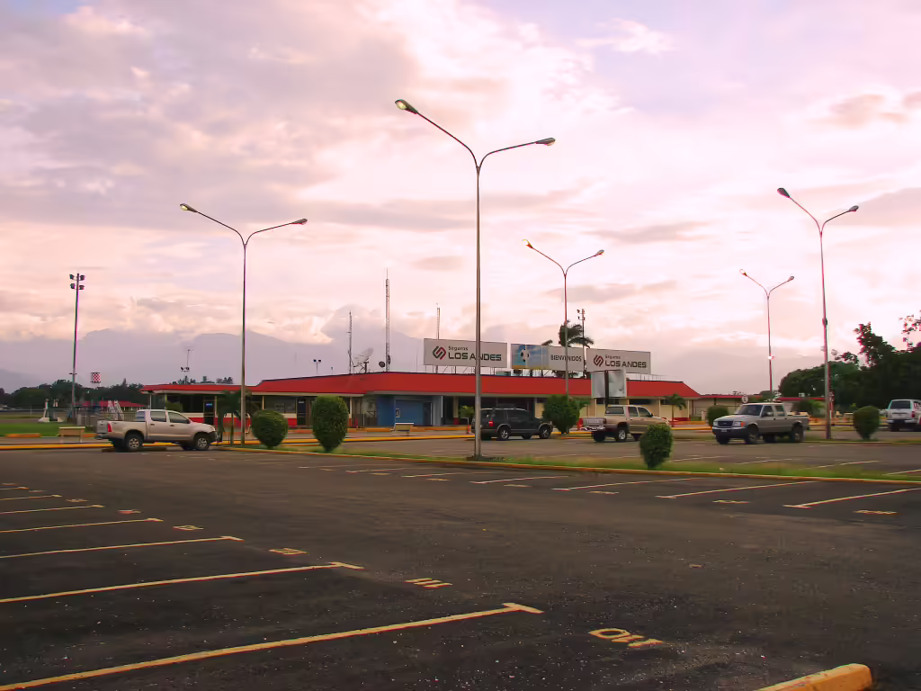 Mayor Buenaventura Vivas International Airport (STD)