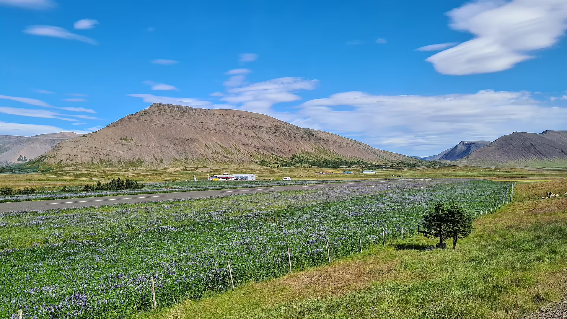 Þingeyri Airport (TEY)