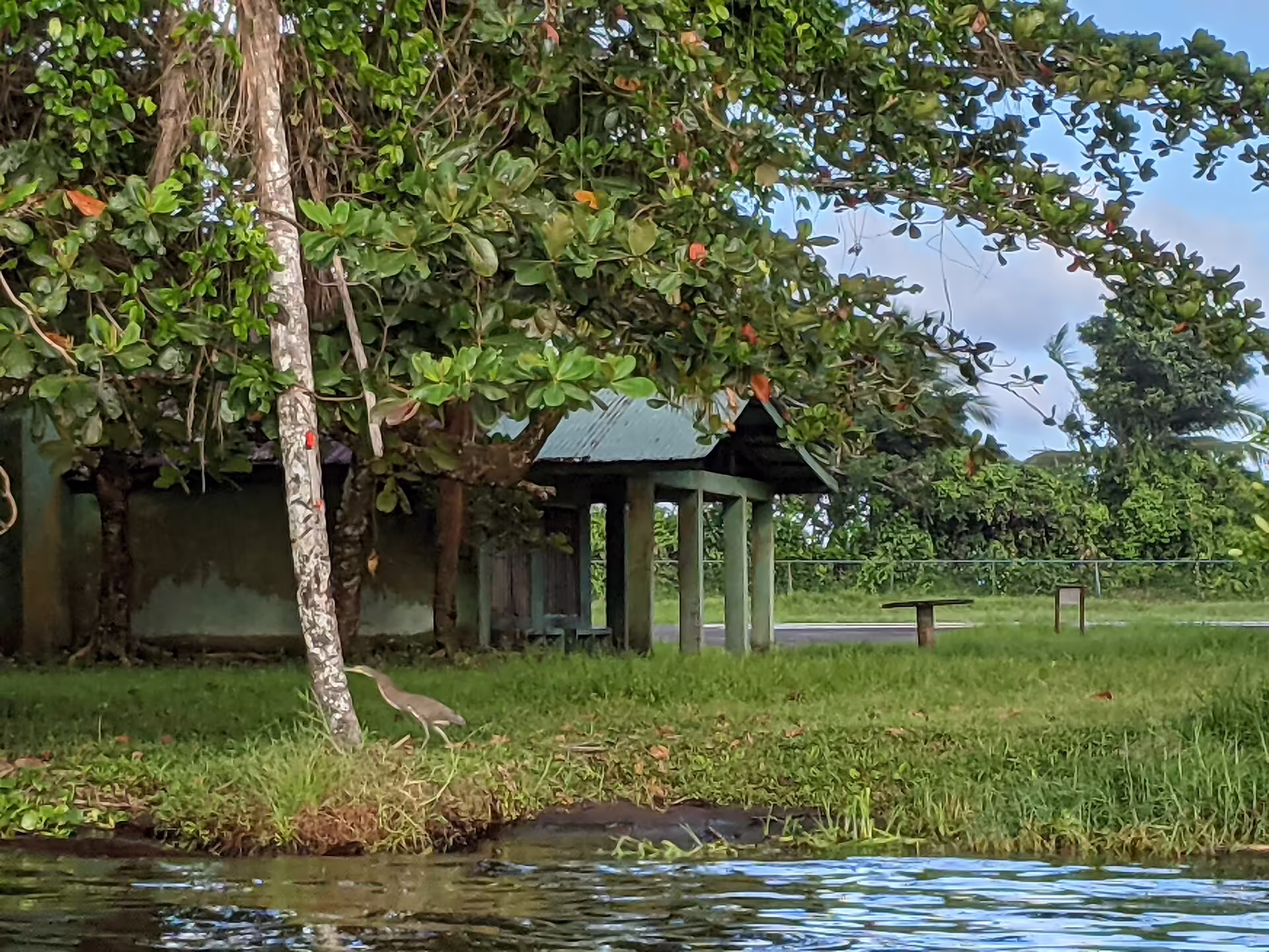 Tortuguero Airport (TTQ)