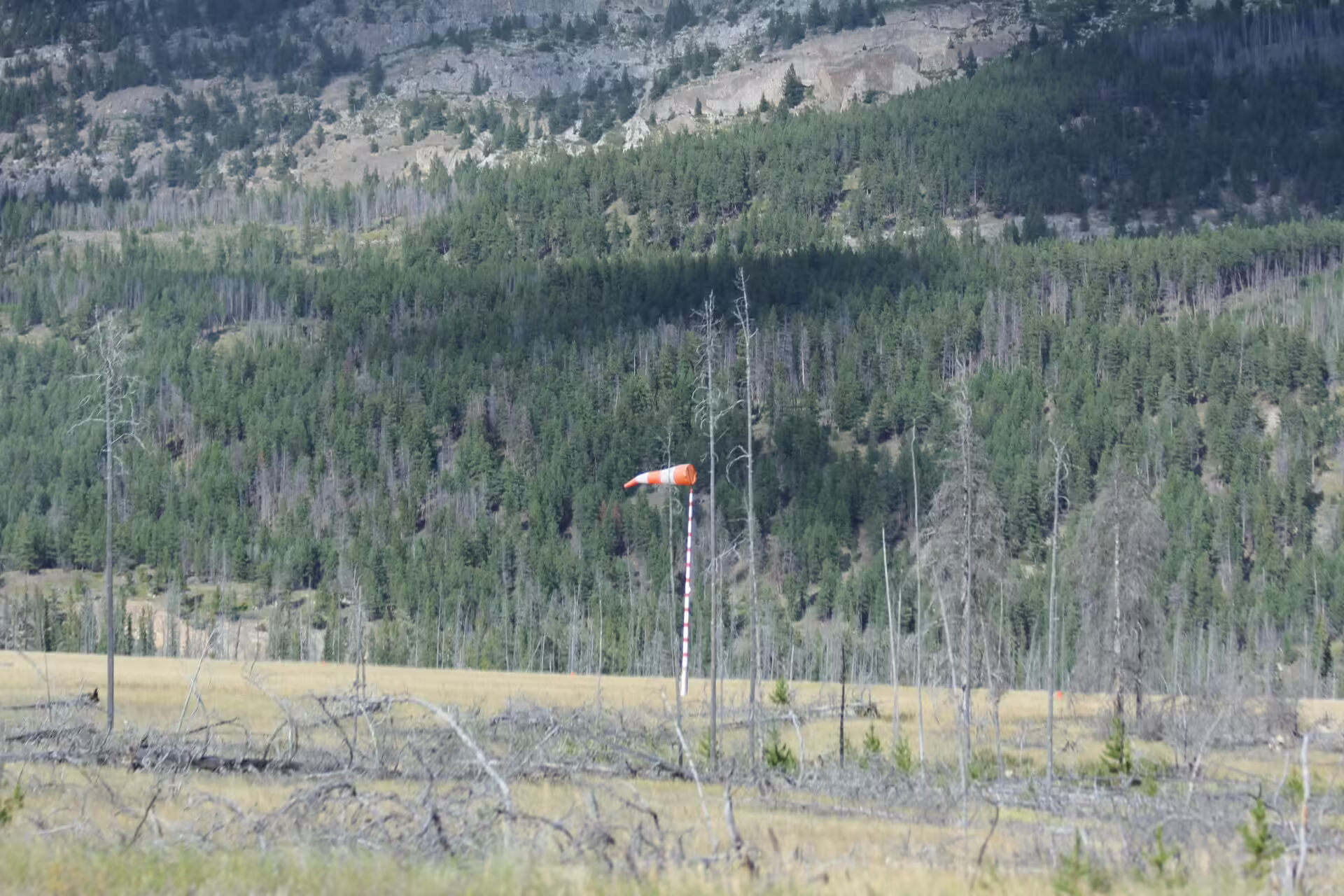 Jasper Airport (YJA)