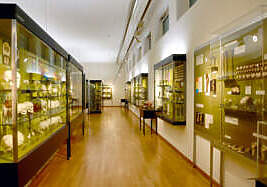Anatomické Múzeum V Bazileji