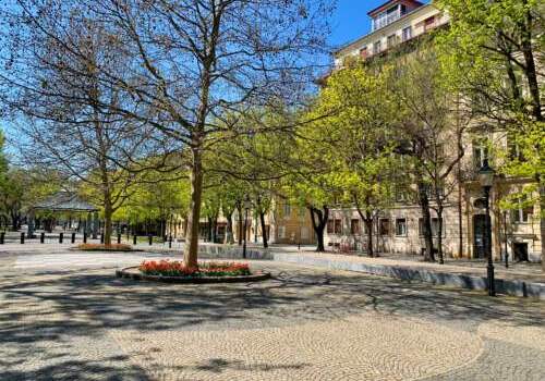 Hviezdoslavovo námestie prázdna Bratislava