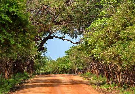 Národný park Srí Lanka Príroda, Srí Lanka