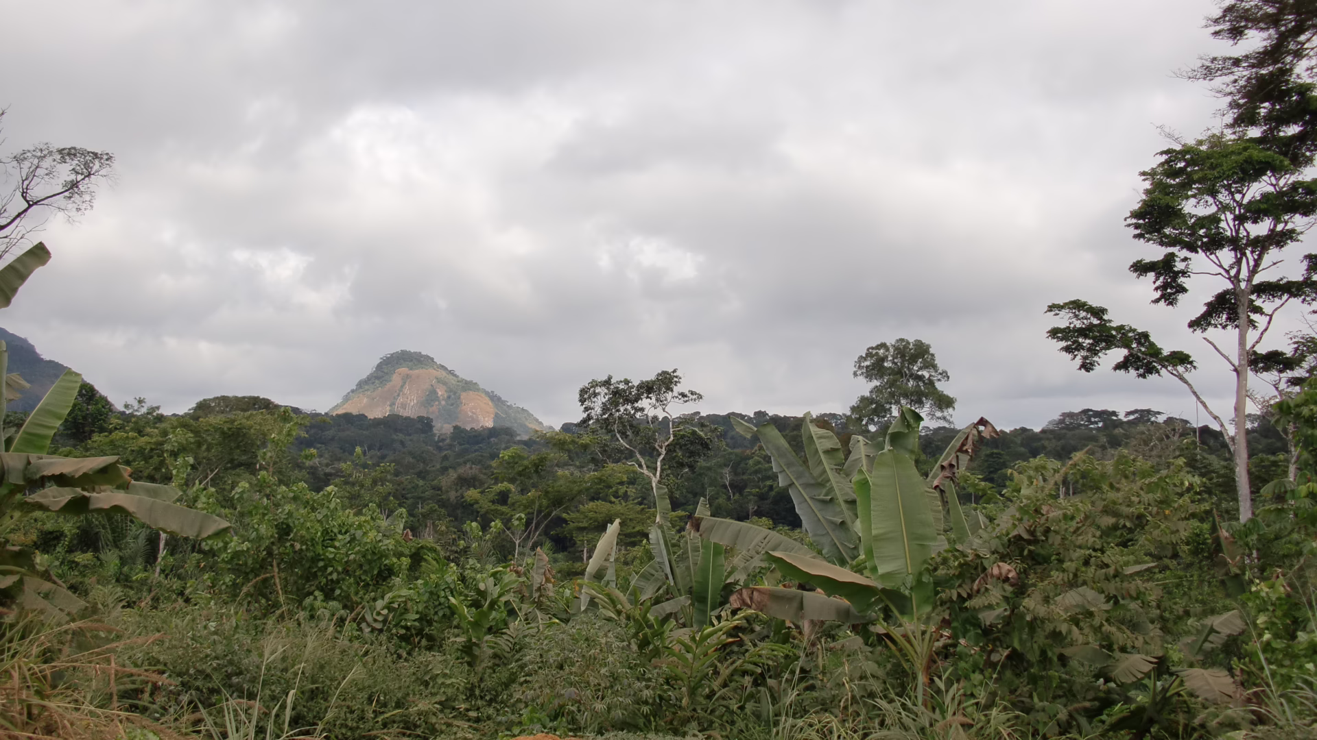 Rovníková Guinea