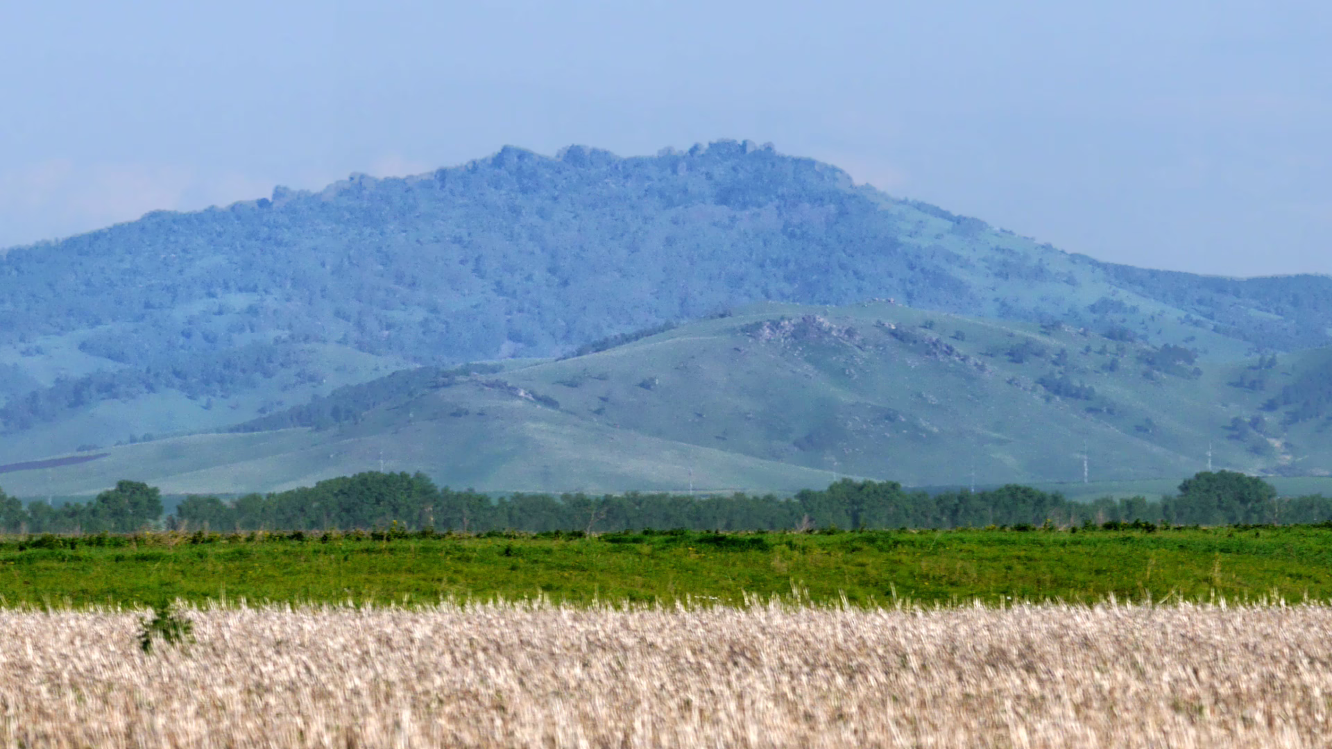 Altajský kraj