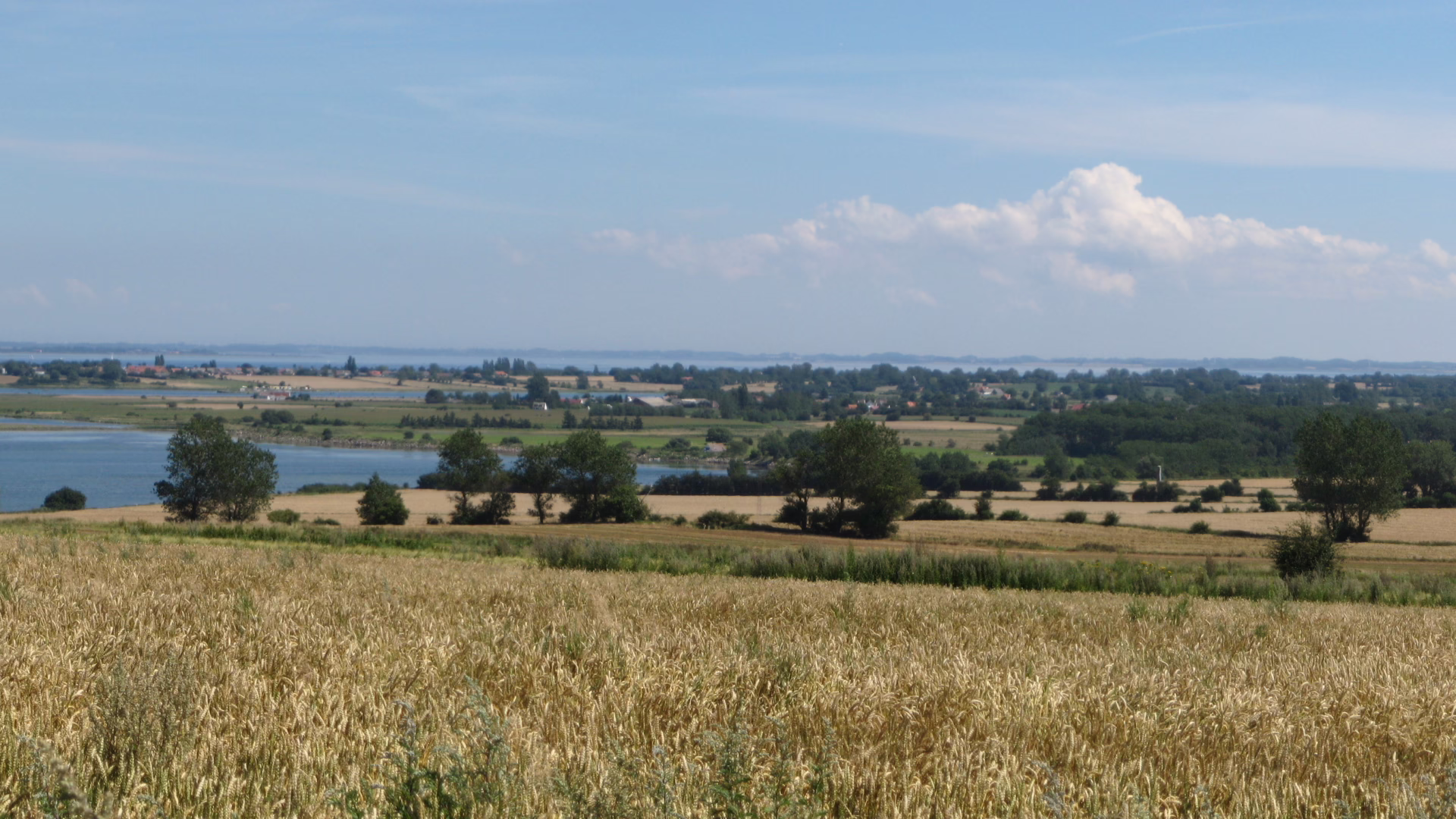 Dánsko