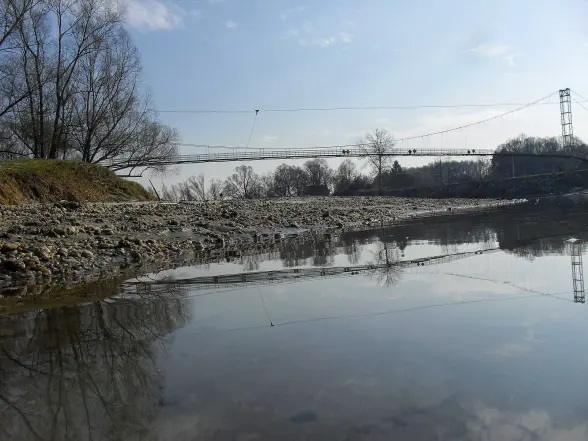 Background obrázok pre taxonómiu