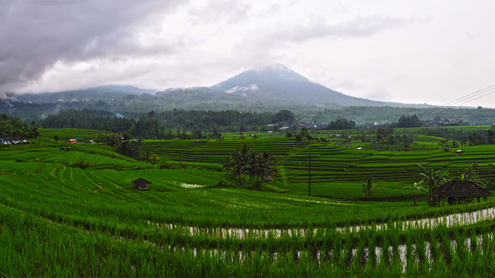 Bali