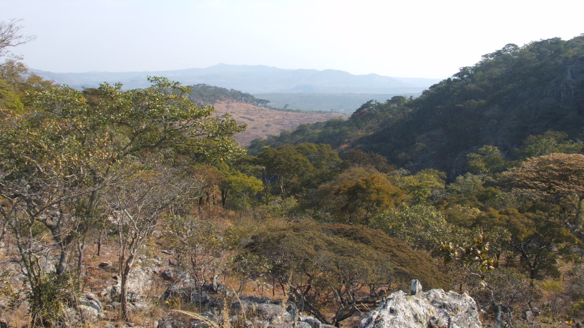 Zambia