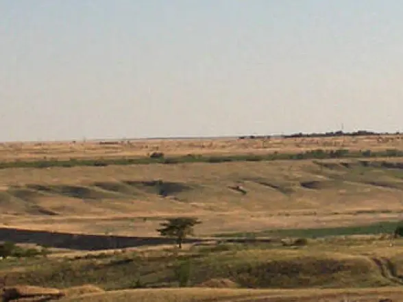 Background obrázok pre taxonómiu