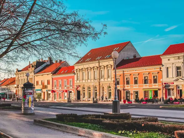 Background obrázok pre taxonómiu