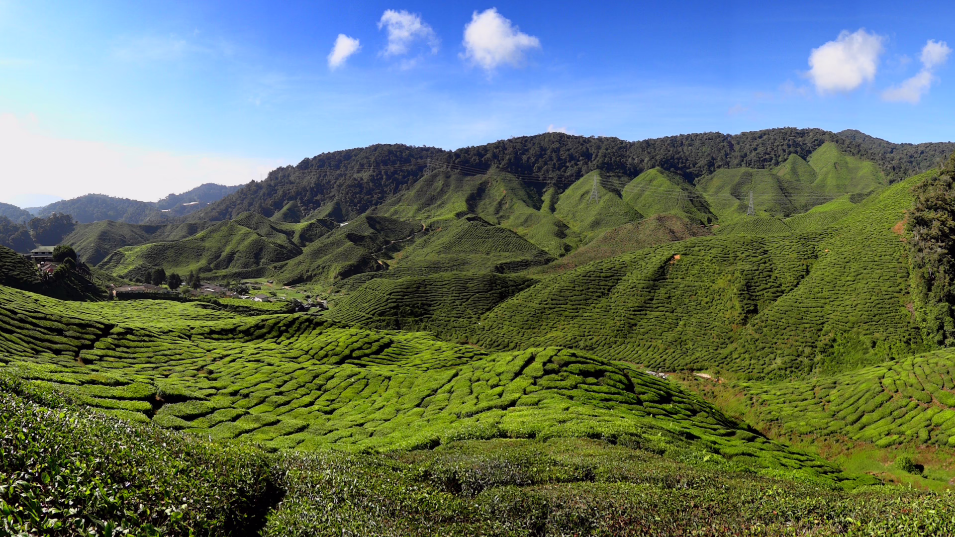 Malajzia