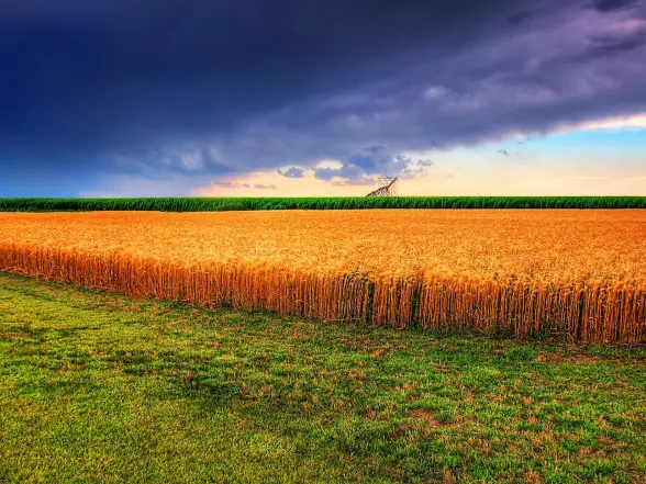 Background obrázok pre taxonómiu