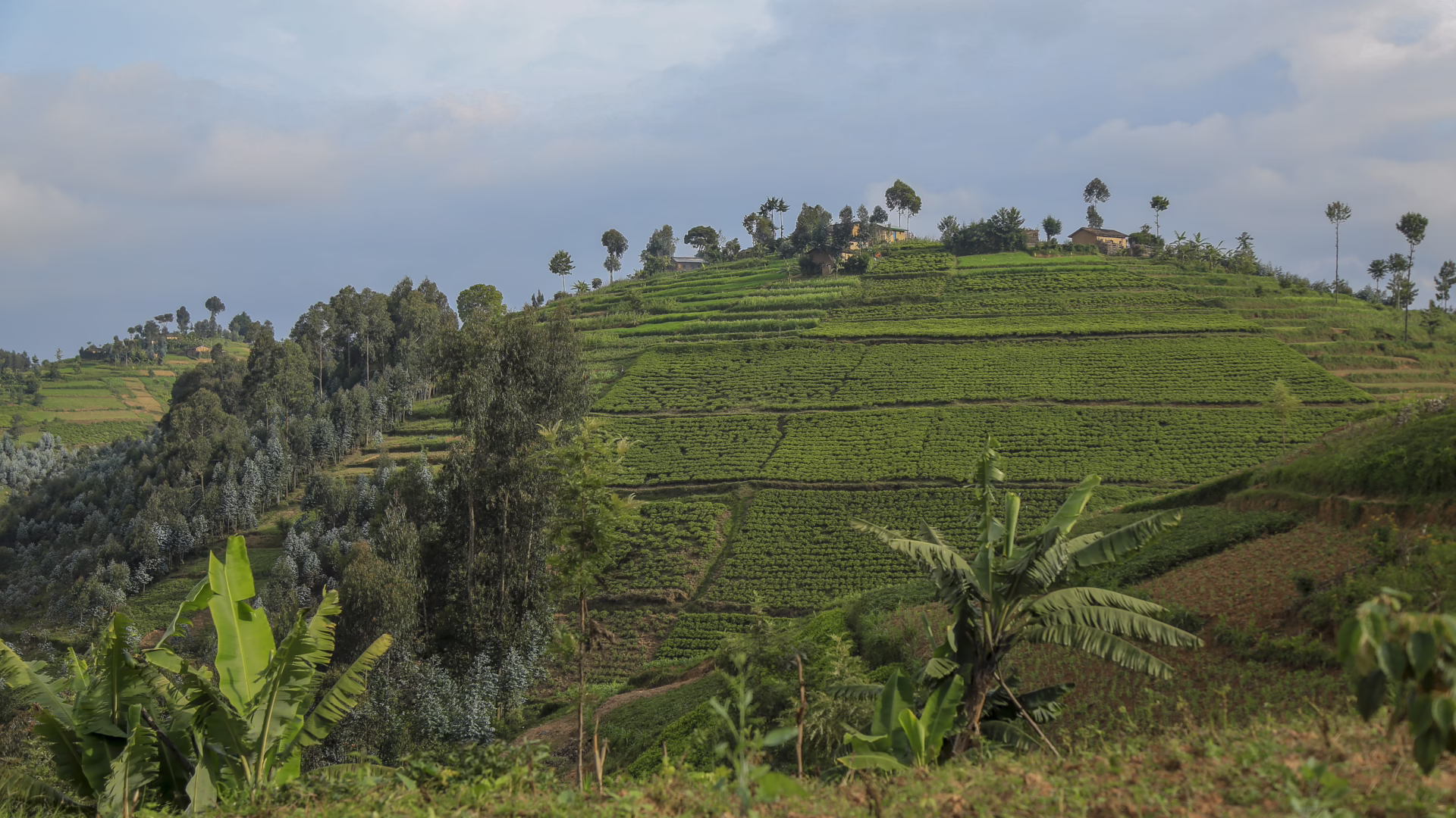 Rwanda