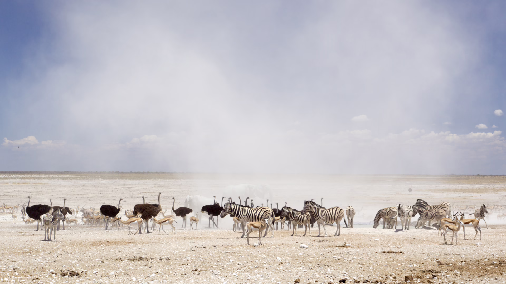 Afrika
