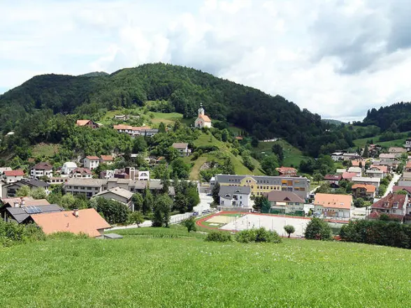 Background obrázok pre taxonómiu
