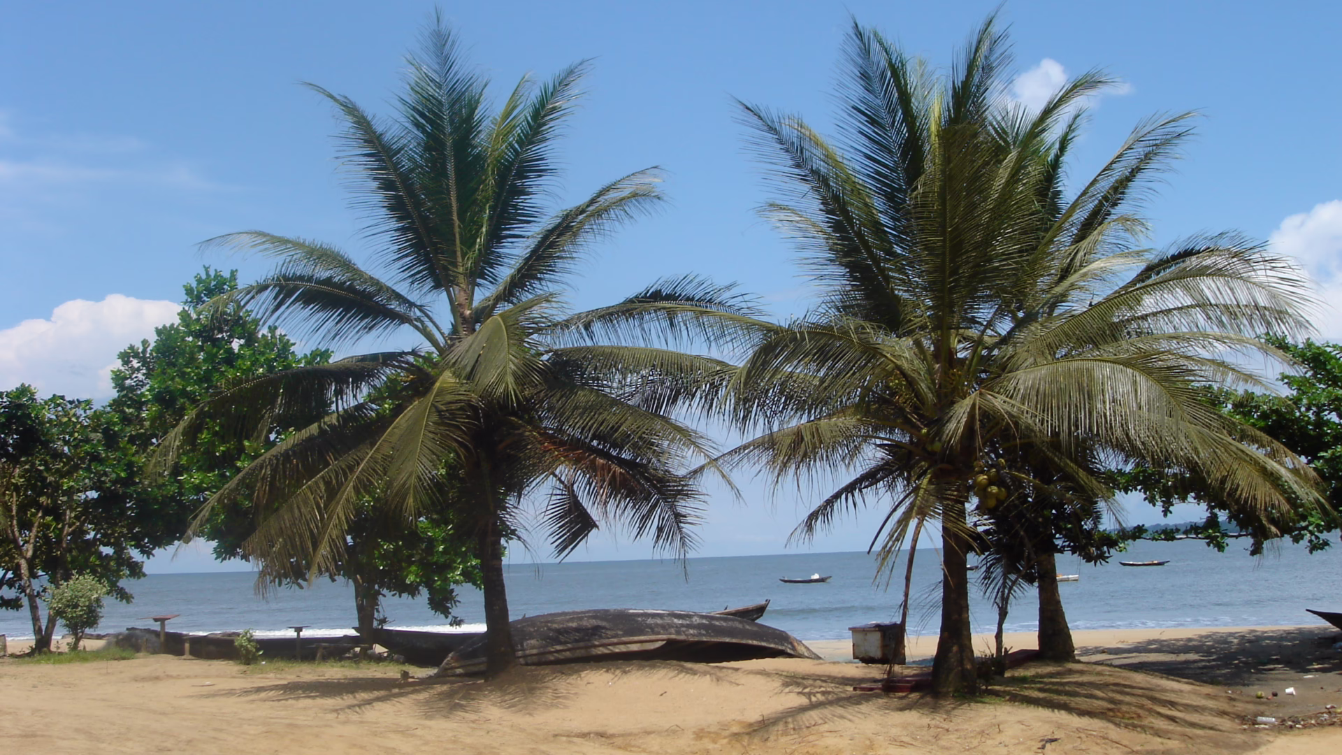 Kamerun
